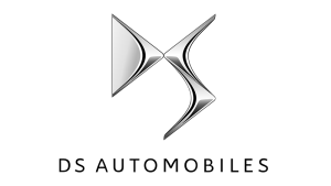 DS logo